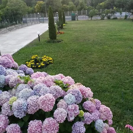 招待所 Kamelia 阿赫托波尔