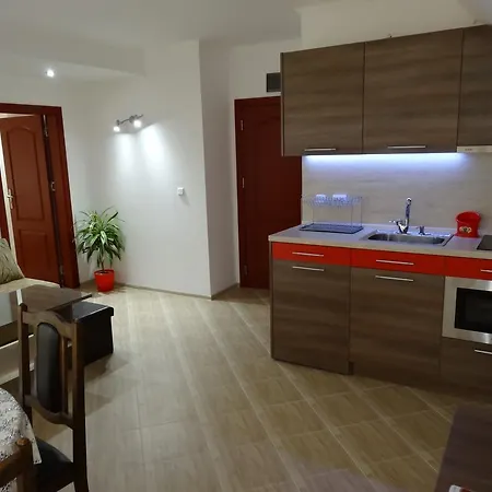 Kamelia 阿赫托波尔