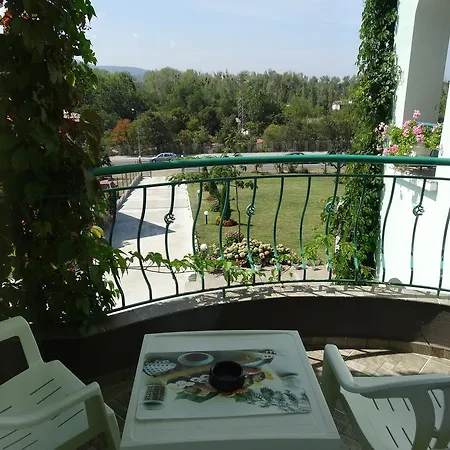 Kamelia 阿赫托波尔