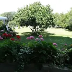 камелия 4*
