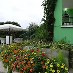 камелия
