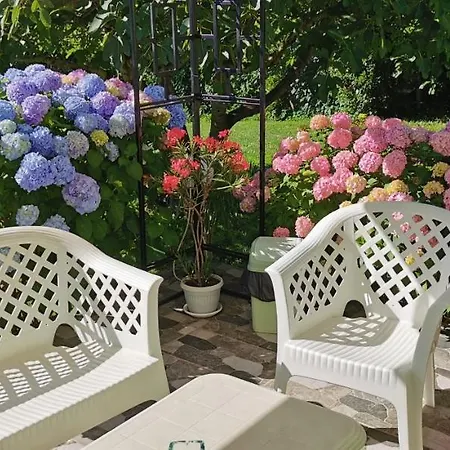 ゲストハウス Kamelia 4*