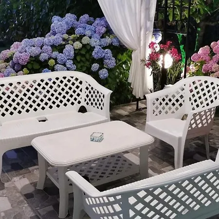 Kamelia ゲストハウス