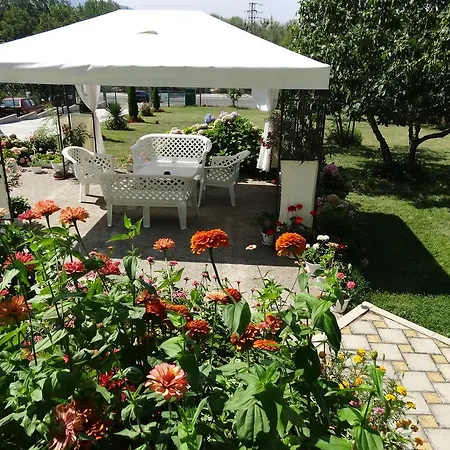 Kamelia ゲストハウス