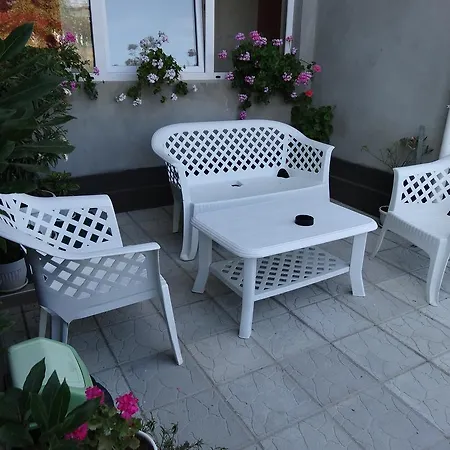 Kamelia アフトポル