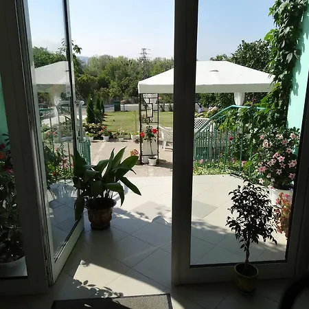 Kamelia Guest house