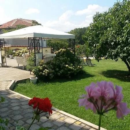 Гостевой дом Kamelia 4*