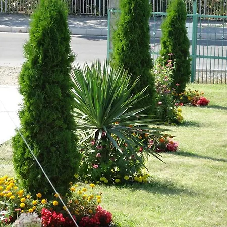 ゲストハウス Kamelia