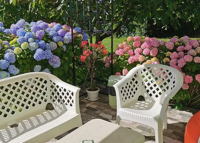 Maison d'hôtes Kamelia 4*