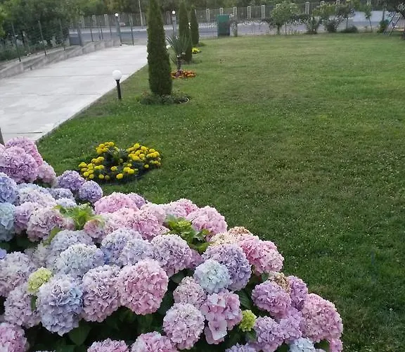 Maison d'hôtes Kamelia Ahtopol