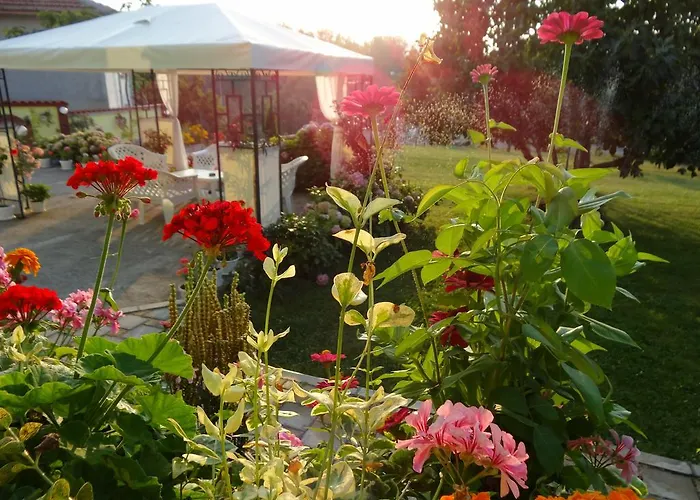 Maison d'hôtes Kamelia