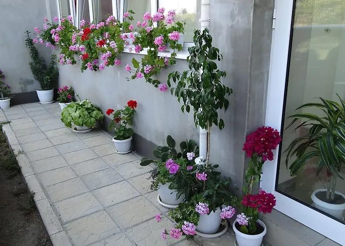 Kamelia Maison d'hôtes Ahtopol