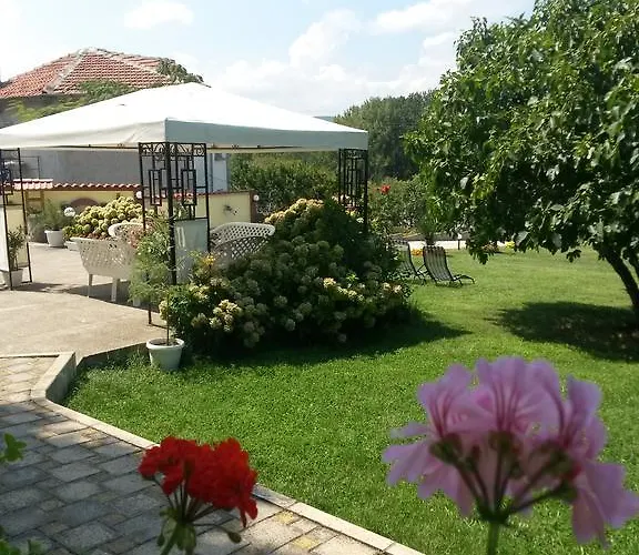 Maison d'hôtes Kamelia 4*