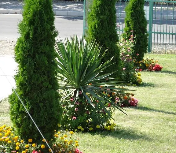 Maison d'hôtes Kamelia